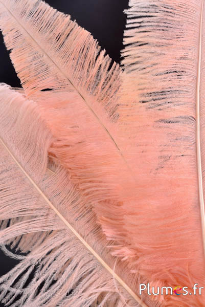 Struzzo tagliato - 50-60 cm - salmone rosato